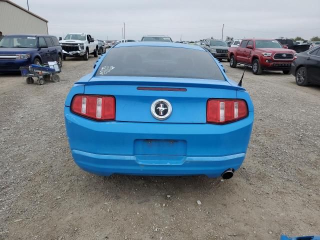 2010 Ford Mustang