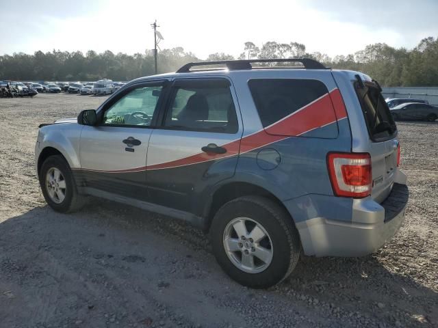 2010 Ford Escape XLT