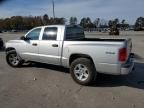 2011 Dodge Dakota SLT