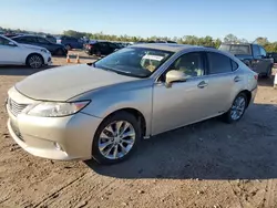 Lexus es300 salvage cars for sale: 2013 Lexus ES 300H