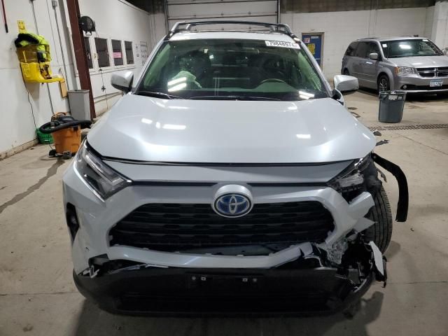 2024 Toyota Rav4 XLE Premium