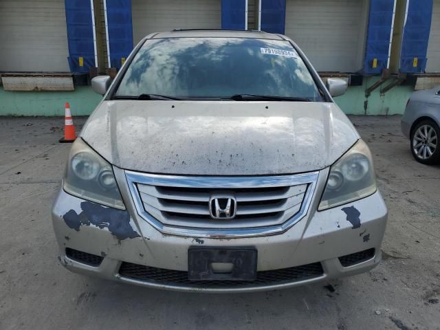 2008 Honda Odyssey EXL