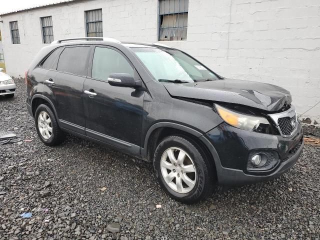 2011 KIA Sorento Base