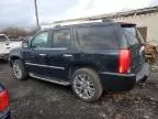 2010 Cadillac Escalade Luxury