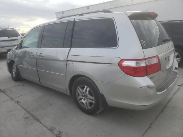 2005 Honda Odyssey EXL