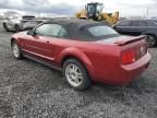 2006 Ford Mustang