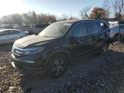 Salvage cars for sale at Chalfont, PA auction: 2016 Honda Pilot EXL