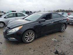 Salvage cars for sale at Indianapolis, IN auction: 2011 Hyundai Sonata SE