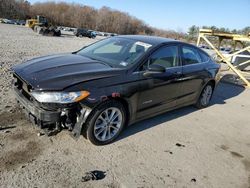 Ford salvage cars for sale: 2019 Ford Fusion SE