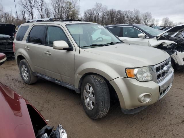 2010 Ford Escape Limited