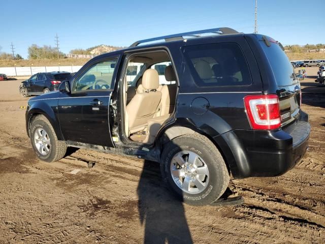 2010 Ford Escape Limited