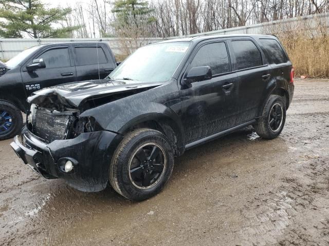 2012 Ford Escape XLT