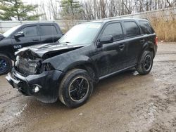 Ford Escape salvage cars for sale: 2012 Ford Escape XLT