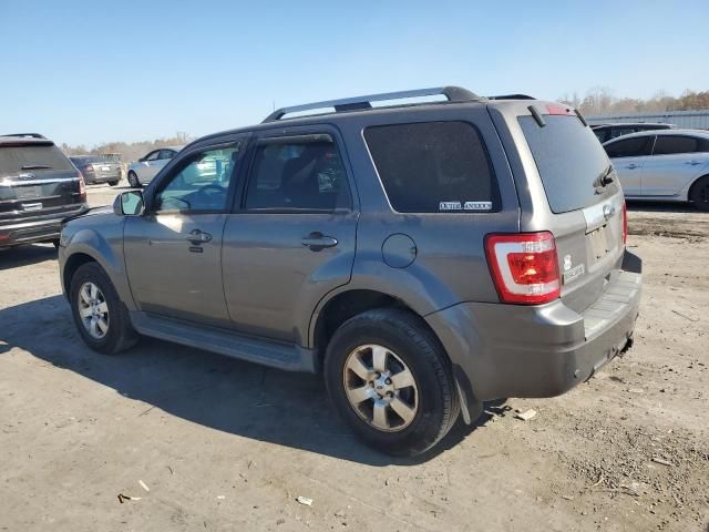 2012 Ford Escape Limited