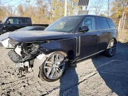 Land Rover salvage cars for sale: 2024 Land Rover Range Rover SE