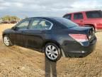 2010 Honda Accord EX