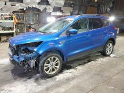 Salvage cars for sale at Albany, NY auction: 2019 Ford Escape SEL