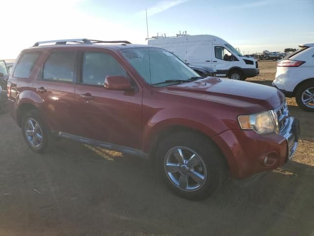 2012 Ford Escape Limited