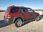 2005 Ford Escape XLT