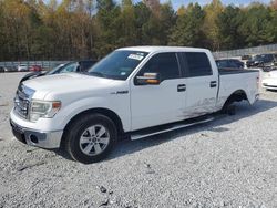 Salvage cars for sale at Gainesville, GA auction: 2014 Ford F150 Supercrew