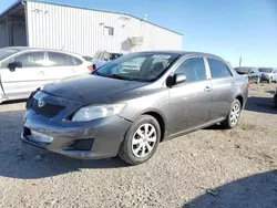 Salvage cars for sale at Tucson, AZ auction: 2009 Toyota Corolla Base