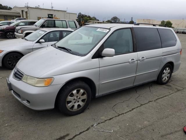 2004 Honda Odyssey EXL