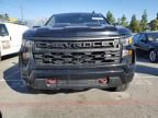 2023 Chevrolet Silverado K1500 Trail Boss Custom