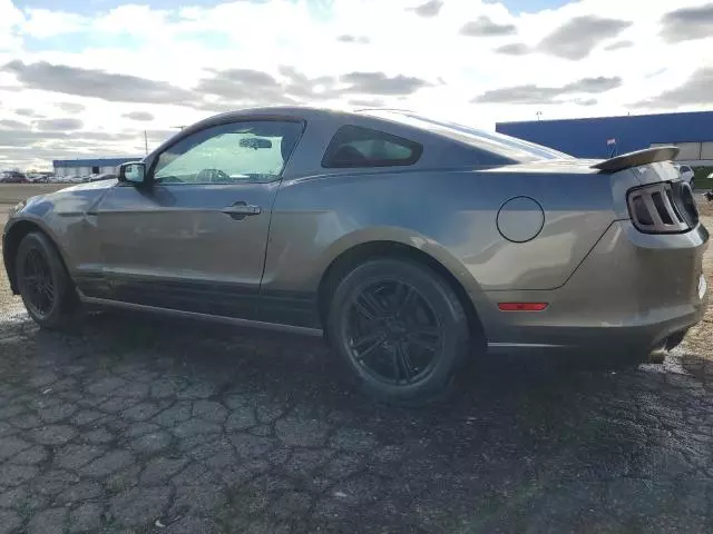 2013 Ford Mustang