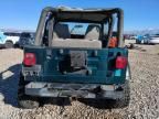 1995 Jeep Wrangler / YJ S