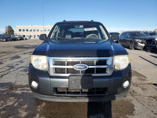 2009 Ford Escape XLT