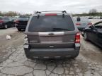 2010 Ford Escape Limited