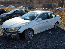 Honda Accord exl salvage cars for sale: 2013 Honda Accord EXL