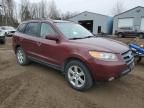 2007 Hyundai Santa FE SE