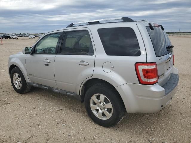 2011 Ford Escape Hybrid