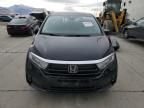 2024 Honda Odyssey EXL