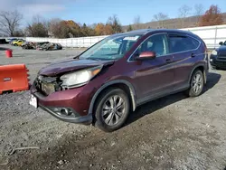 Salvage cars for sale at Grantville, PA auction: 2014 Honda CR-V EXL