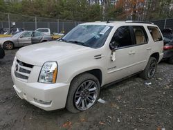 Cadillac salvage cars for sale: 2013 Cadillac Escalade Premium