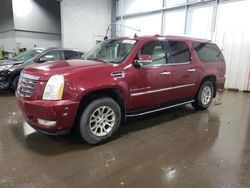 2007 Cadillac Escalade ESV en venta en Ham Lake, MN