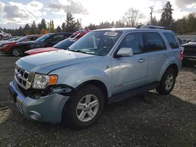 2008 Ford Escape HEV