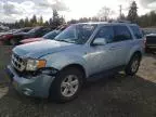 2008 Ford Escape HEV