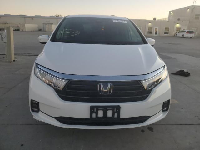 2024 Honda Odyssey EXL