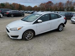 Ford Focus salvage cars for sale: 2016 Ford Focus SE