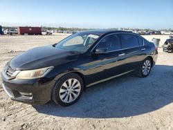 2013 Honda Accord EXL en venta en Arcadia, FL