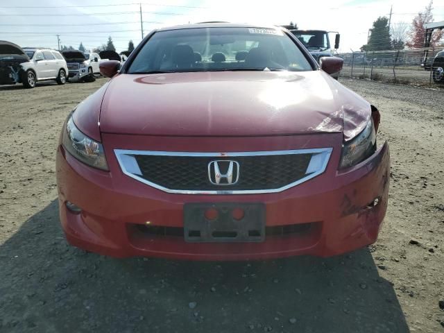 2009 Honda Accord EXL