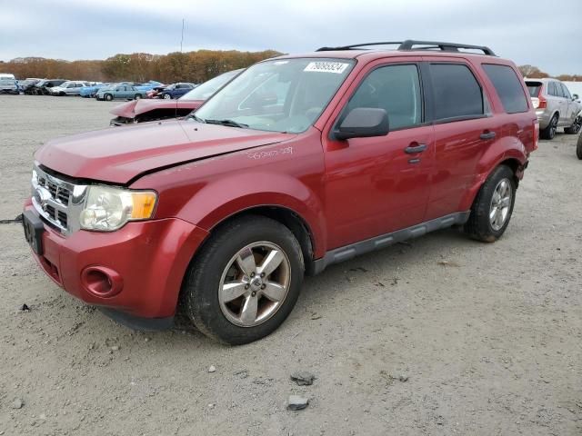 2009 Ford Escape XLT