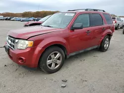 Salvage cars for sale at Assonet, MA auction: 2009 Ford Escape XLT