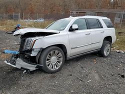 Cadillac salvage cars for sale: 2016 Cadillac Escalade Platinum