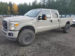 Salvage trucks for sale at Graham, WA auction: 2016 Ford F350 Super Duty