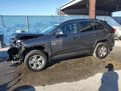 Salvage cars for sale at Riverview, FL auction: 2024 Toyota Rav4 XLE