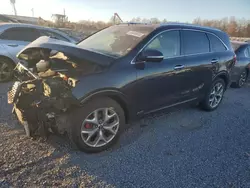 Salvage cars for sale at Hillsborough, NJ auction: 2019 KIA Sorento SX